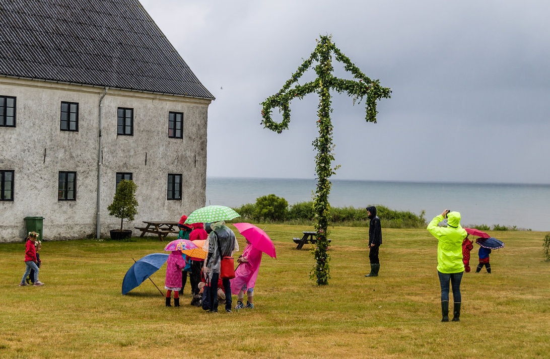En traditionell svensk midsommarstång rest på en gräsbeklädd äng vid havet, med människor som samlats runt den trots regn, vilket visar traditionens betydelse.